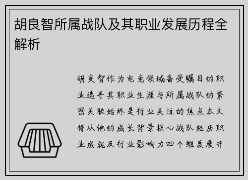 胡良智所属战队及其职业发展历程全解析