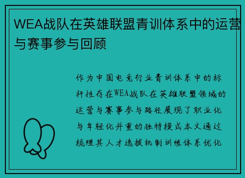 WEA战队在英雄联盟青训体系中的运营与赛事参与回顾